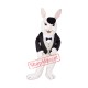 Gentleman's White Rabbit Mascot Costume Gentleman's White Rabbit Mascot Costume