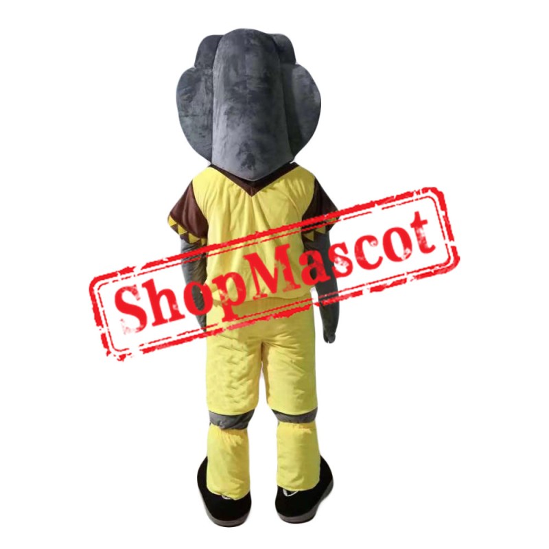 Top Quality Snake Mascot Costume