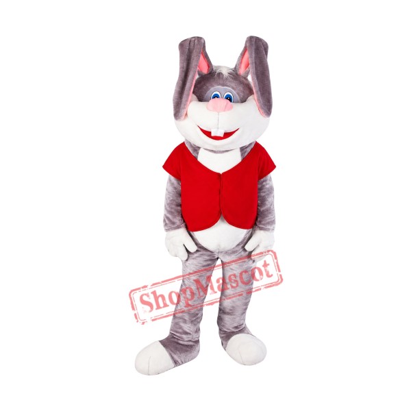 Friendly Adult Rabbit Mascot Costume