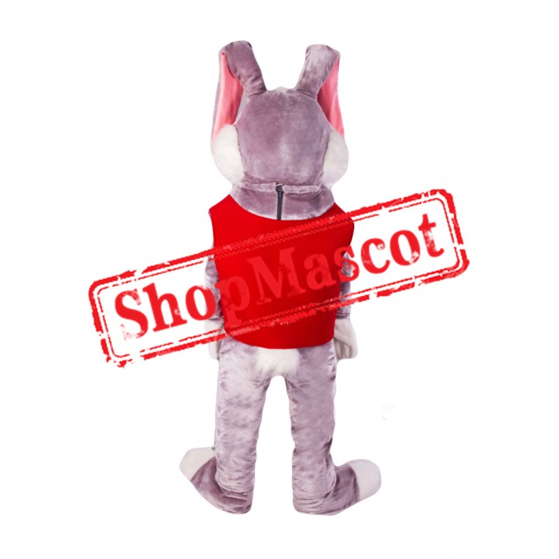 Friendly Adult Rabbit Mascot Costume