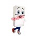 Fridge Mascot Costume