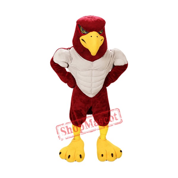 Power Falcon Mascot Costume Power Falcon Mascot Costume