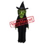 Wicked Witch Mascot Costume