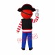 Pirate Boy Mascot Costume