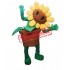 Sunflower Plant Mascot Costume