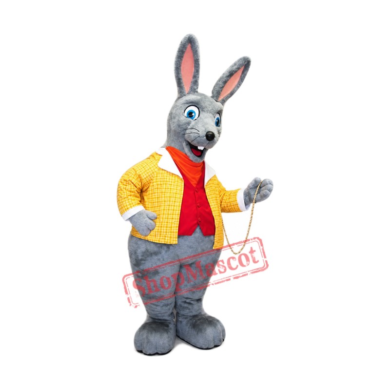 Top Quality Easter Rabbit Mascot Costume Top Quality Easter Rabbit Mascot Costume