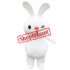 Cartoon White Rabbit Mascot Costume