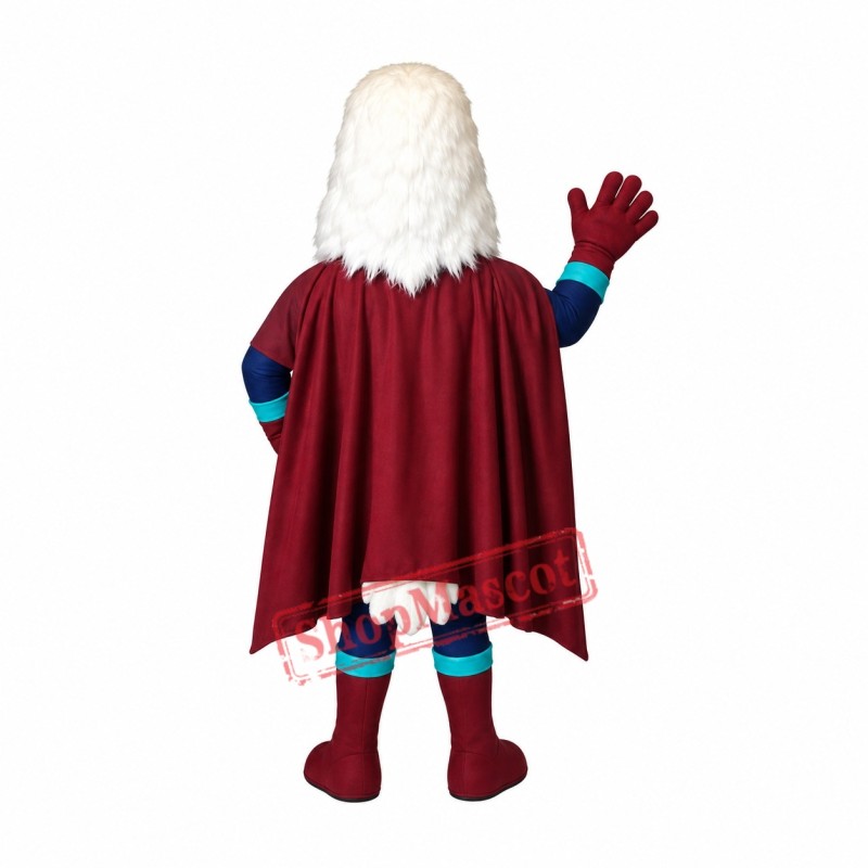 Superhero Eagle Mascot Costume Superhero Eagle Mascot Costume