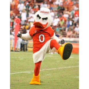 University of Miami Hurricanes Mascot Costume