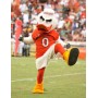 University of Miami Hurricanes Mascot Costume