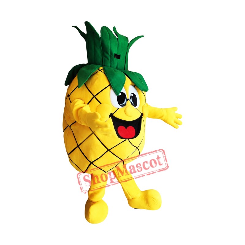 Top Quality Pineapple Mascot Costume