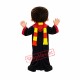 Wizard Mascot Costume