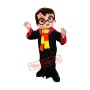 Wizard Mascot Costume
