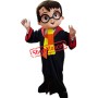 Wizard Mascot Costume