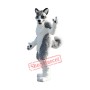Super Cute Husky Mascot Costume