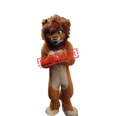 Brand New Lion Mascot Costume