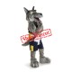 Top Quality Sport Wolf Mascot Costume
