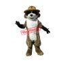 Ranger Rick Racoon Mascot Costume