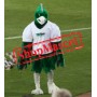 Sport Green Phoenix Mascot Costume