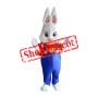 Easter Boy Bunny Mascot Costume