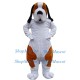 Cute Bernard Dog Mascot Costume