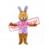 Rabbit Cartoon Mascot Costume