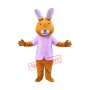 Rabbit Cartoon Mascot Costume