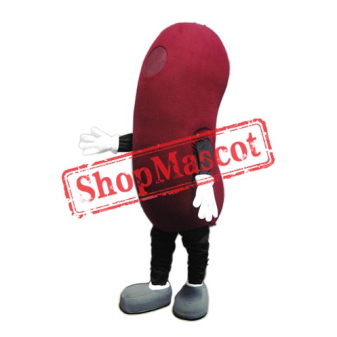 Kidney Mascot Costume