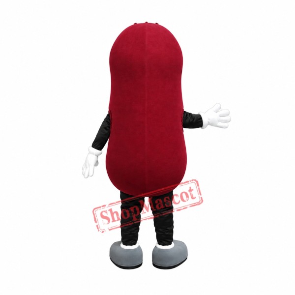 Kidney Mascot Costume Kidney Mascot Costume