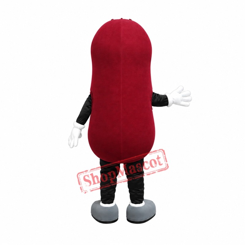 Kidney Mascot Costume Kidney Mascot Costume
