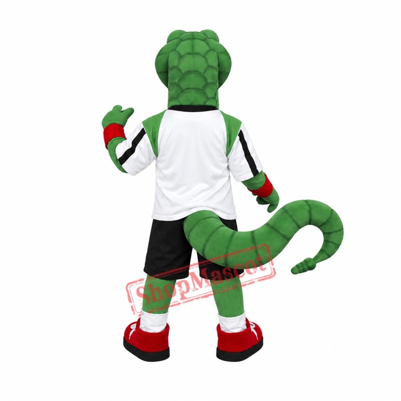 High Quality Snake Mascot Costume High Quality Snake Mascot Costume