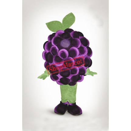 Top Quality Grape Mascot Costume