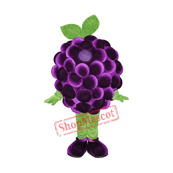 Top Quality Grape Mascot Costume