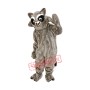 Friendly Raccoon Mascot Costume