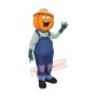 Mr Pumpkin Mascot Costume