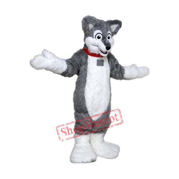 Grey Lightweight Husky Dog Mascot Costume Grey Lightweight Husky Dog Mascot Costume