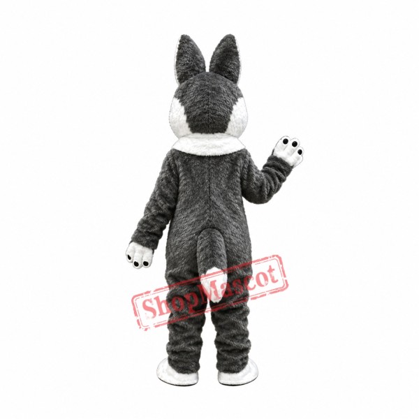 Cool Husky Dog Mascot Costume