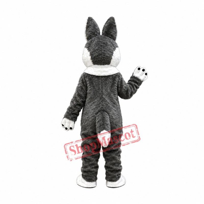 Cool Husky Dog Mascot Costume