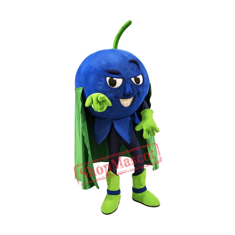 High Quality Blueberry Mascot Costume High Quality Blueberry Mascot Costume