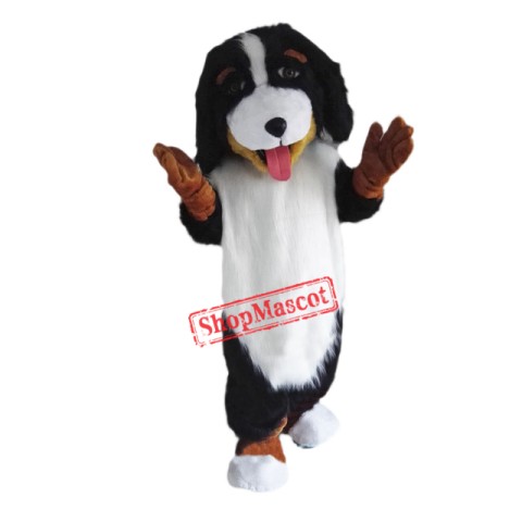 Bernese Mountain Dog Mascot Costume