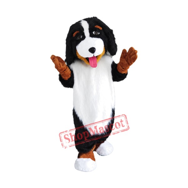 Bernese Mountain Dog Mascot Costume
