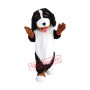 Bernese Mountain Dog Mascot Costume