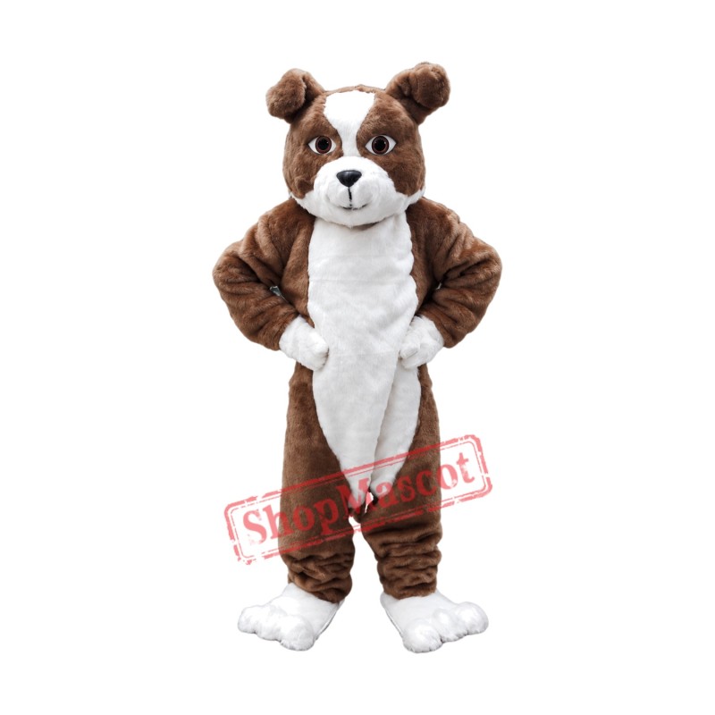 Plush Bulldog Mascot Costume Plush Bulldog Mascot Costume