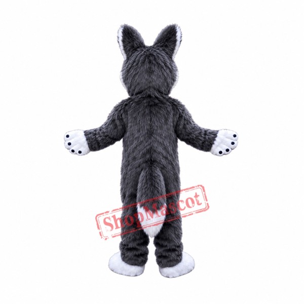 Grey Plush Husky Dog Mascot Costume Grey Plush Husky Dog Mascot Costume
