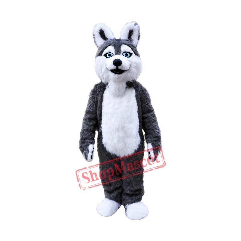 Grey Plush Husky Dog Mascot Costume Grey Plush Husky Dog Mascot Costume