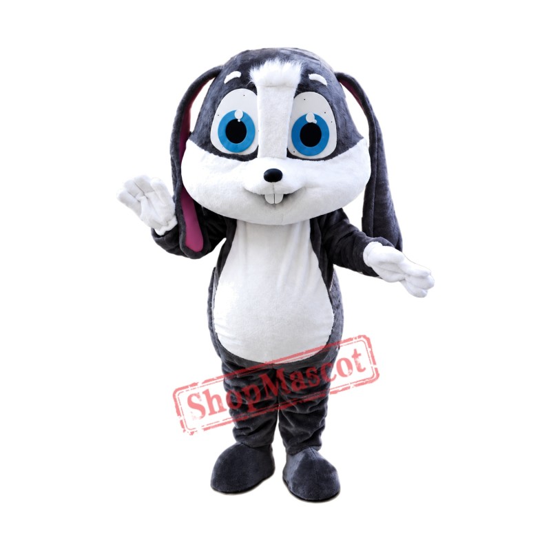 Cartoon Bunny Mascot Costume Cartoon Bunny Mascot Costume