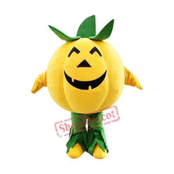 Halloween Pumpkin Mascot Costume