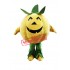 Halloween Pumpkin Mascot Costume
