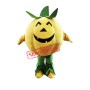Halloween Pumpkin Mascot Costume