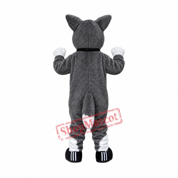 Cute Plush Husky Mascot Costume